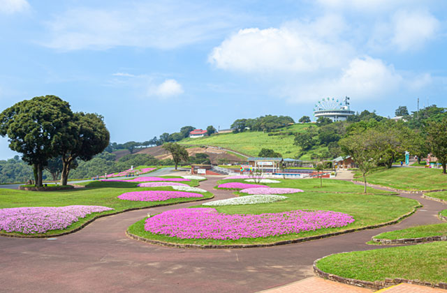 マザー牧場